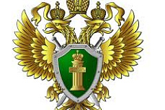 Прокуратура выявила нарушения федерального законодательства в аптечном учреждении